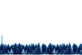 preview cold