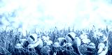 preview cold