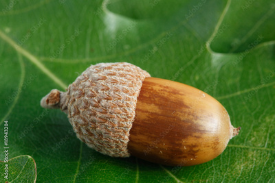 image to crop