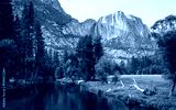 preview cold