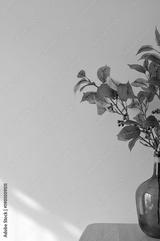 preview bw
