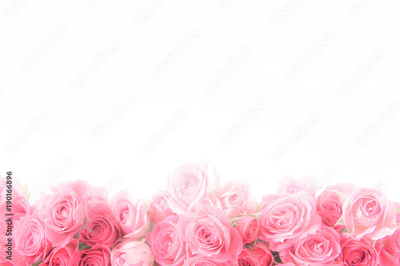 image to crop