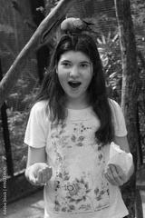 preview bw