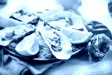 preview cold