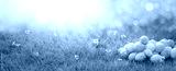 preview cold