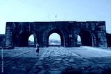 preview cold