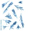 preview cold
