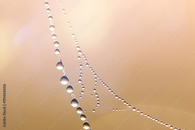 image to crop