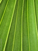 preview original