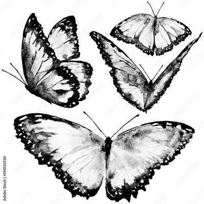 image to crop