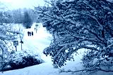 preview cold