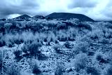preview cold