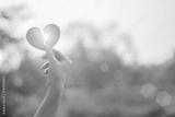 preview bw
