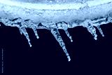 preview cold