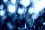 preview cold