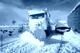 preview cold