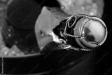 preview bw