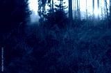 preview cold