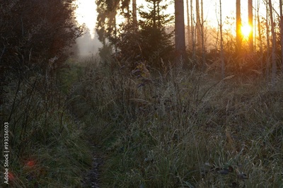 image to crop