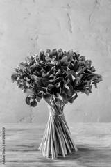 preview bw