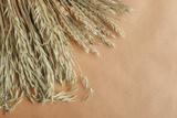 preview original