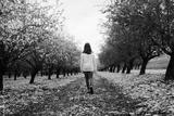 preview bw