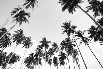 image to crop