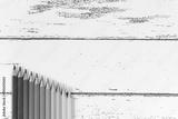 preview bw
