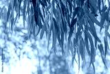 preview cold