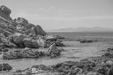 preview bw