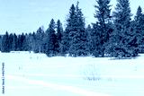 preview cold