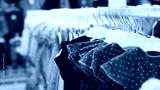 preview cold