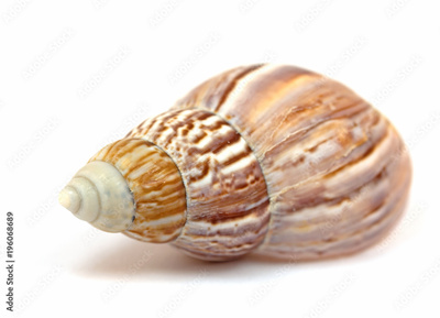 image to crop