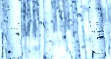 preview cold
