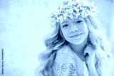 preview cold