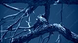 preview cold