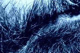 preview cold