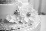preview bw