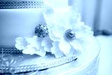 preview cold