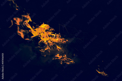 image to crop