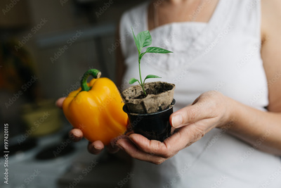 image to crop