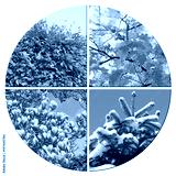 preview cold