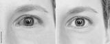 preview bw