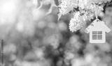 preview bw