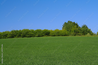 image to crop