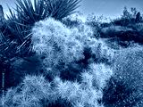 preview cold