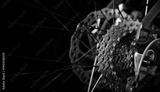 preview bw