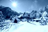 preview cold