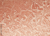 preview original