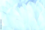 preview cold